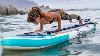 10 Best Inflatable Sup Paddle Boards For 2020