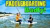 Vidéo De Paddleboard La Plus Drôle Jamais